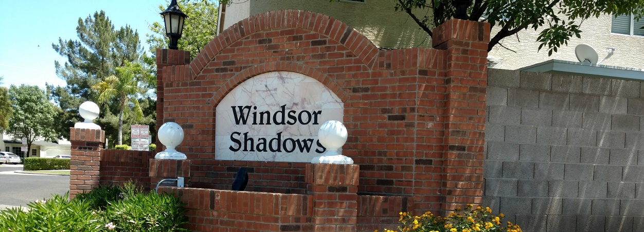 Community Vision Community Management Community Vision Community Management